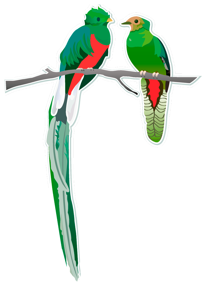 Logo Quetzal Taxes